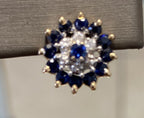 14kt Diamonds And Sapphire Earrings