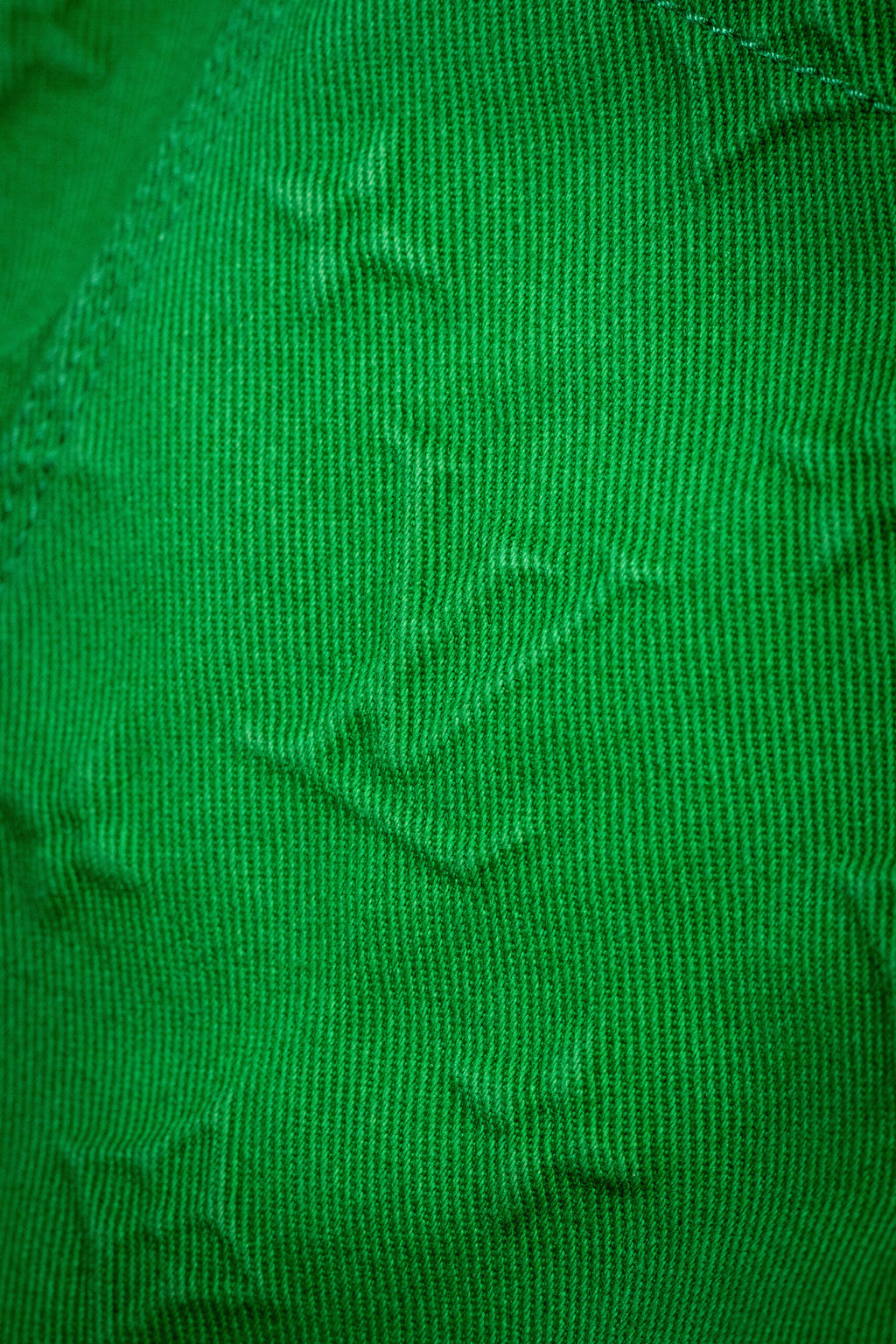 Louis Vuitton Green Monogram Trucker Jacket