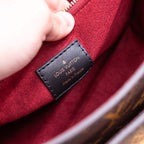 Louis Vuitton LV Monogram Passy Shoulder Bag
