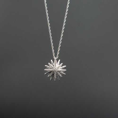 10k White Gold Round Cut Diamond Pave Star Pendant Necklace
